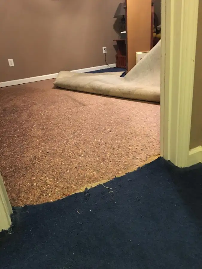Carpet pad removal revealing water damage during Drying & Dehumidification in Fruitvale