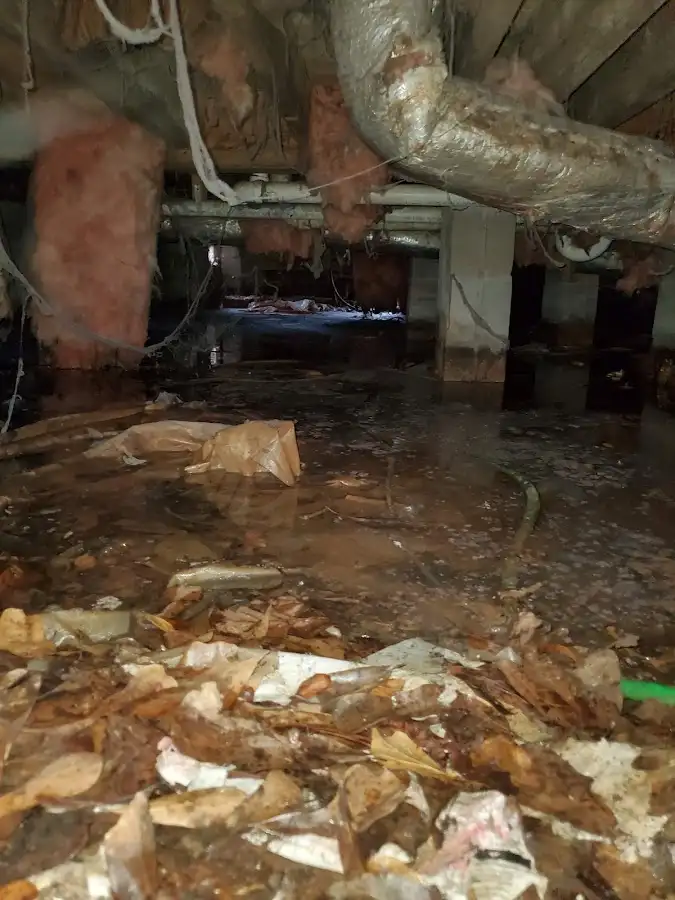 Crawl space flood assessment for Commercial Water Damage Restoration in Fruitvale