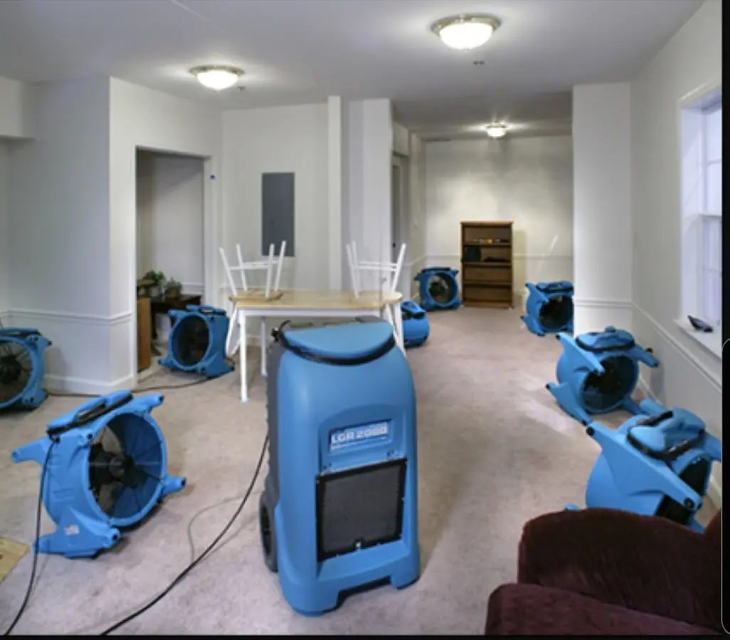 Air movers and dehumidifier setup for Water Extraction & Removal in Fruitvale