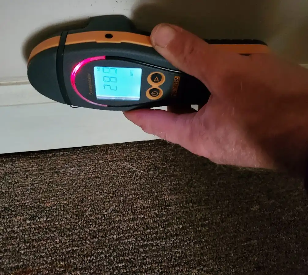 Moisture detection at baseboard during Burst Pipe Cleanup in Fruitvale